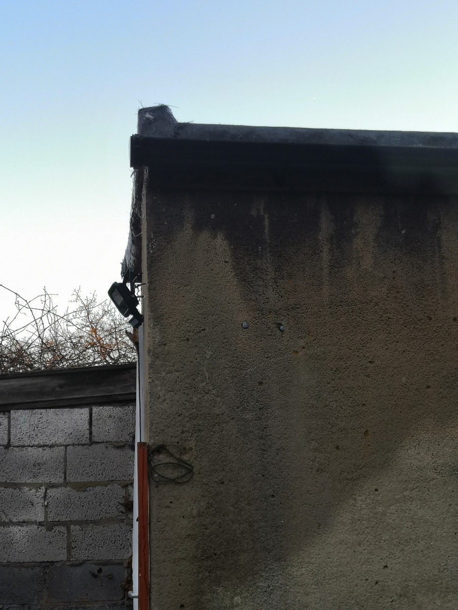 IMG_20220121_082640_copy_1843x2457_copy_921x1228