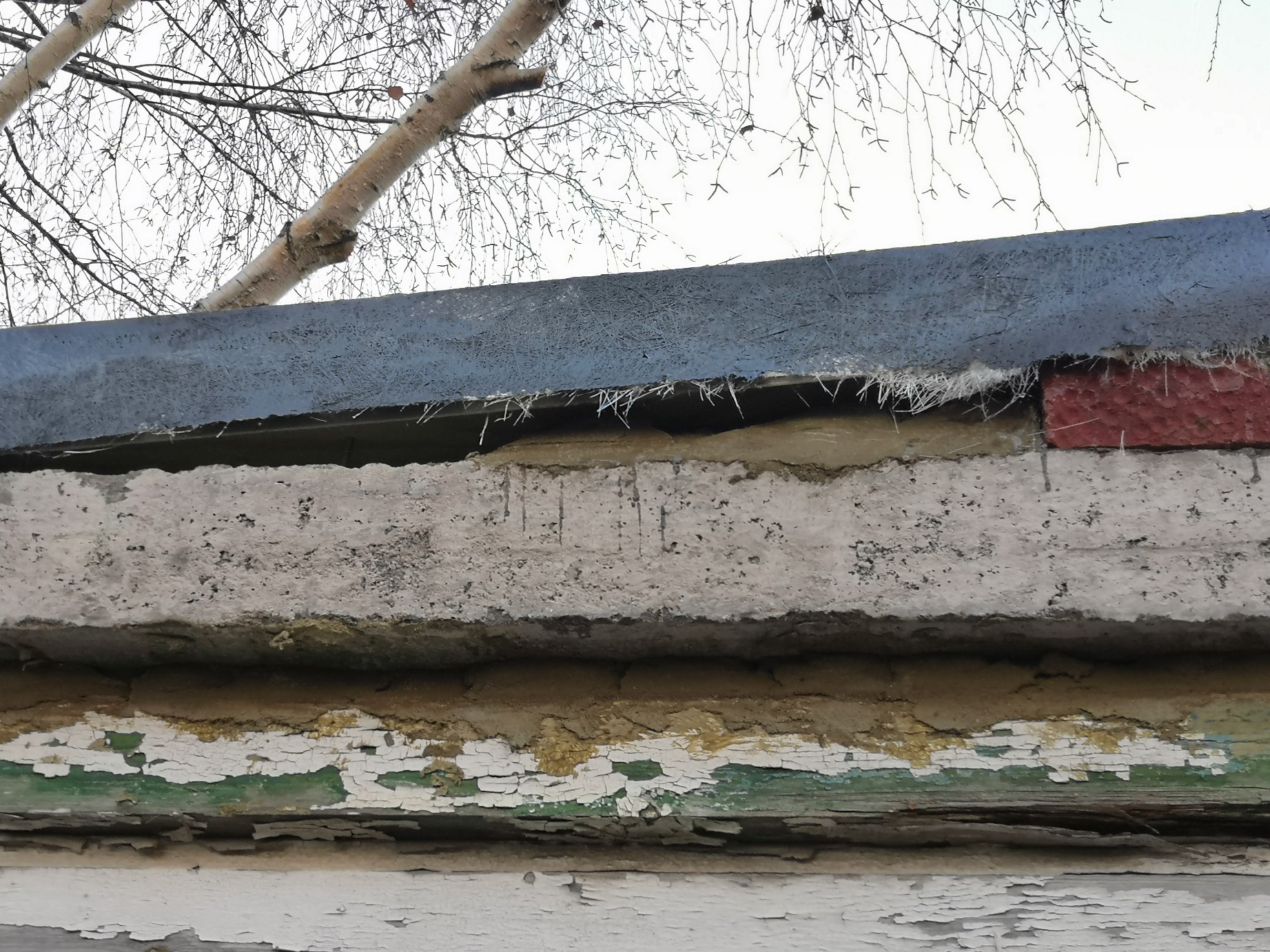 IMG_20220121_082921_copy_1843x1382