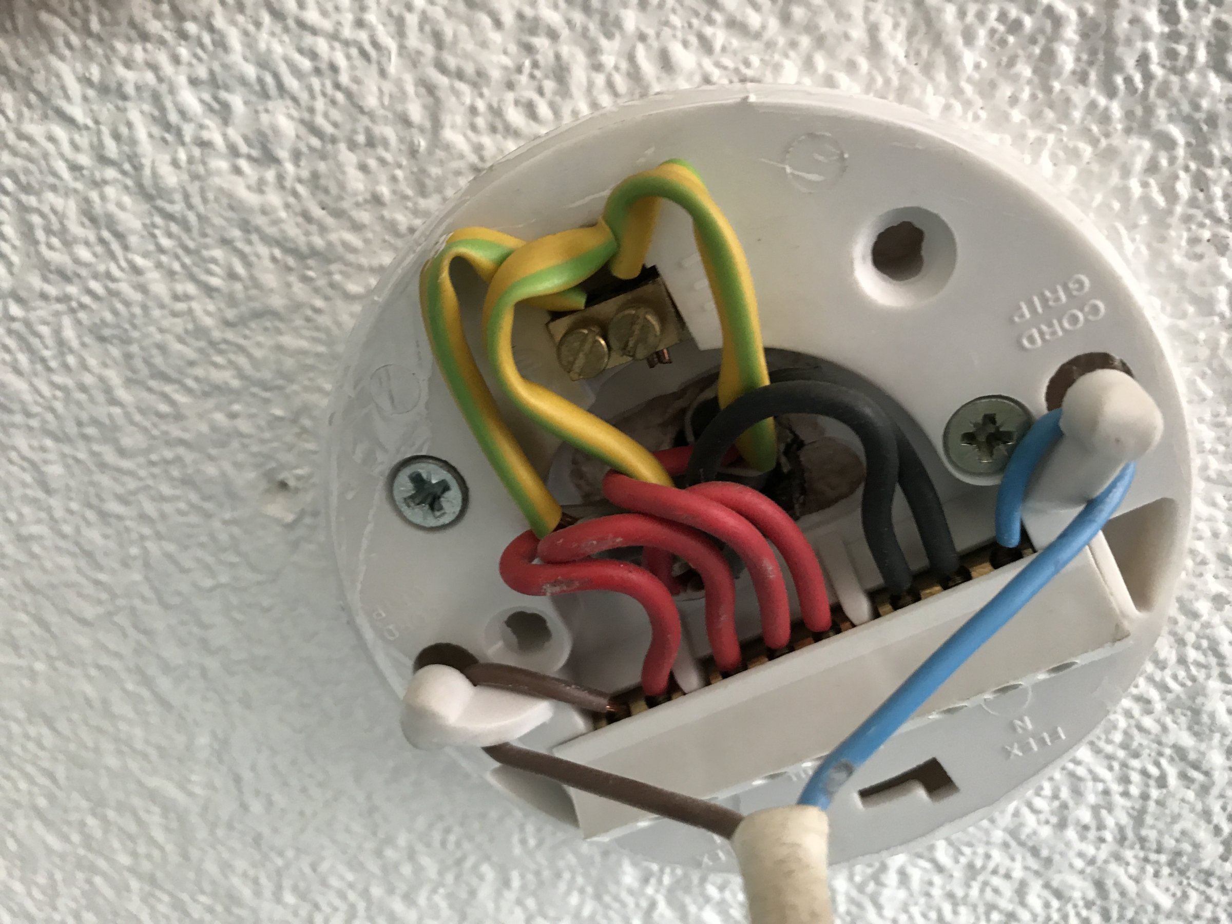 Ceiling Rose To Wago Connectors