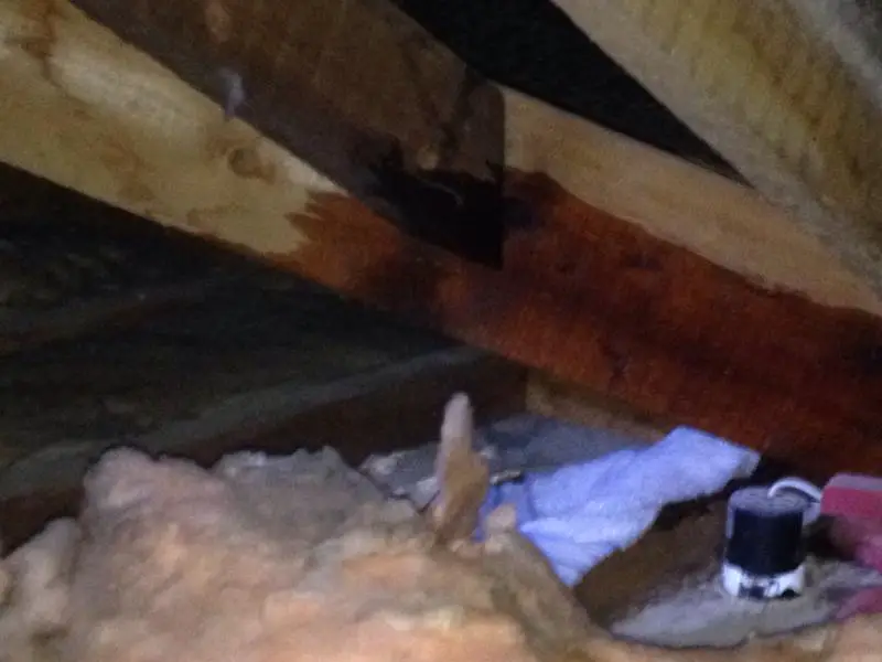 Inside attic after raining for several hours