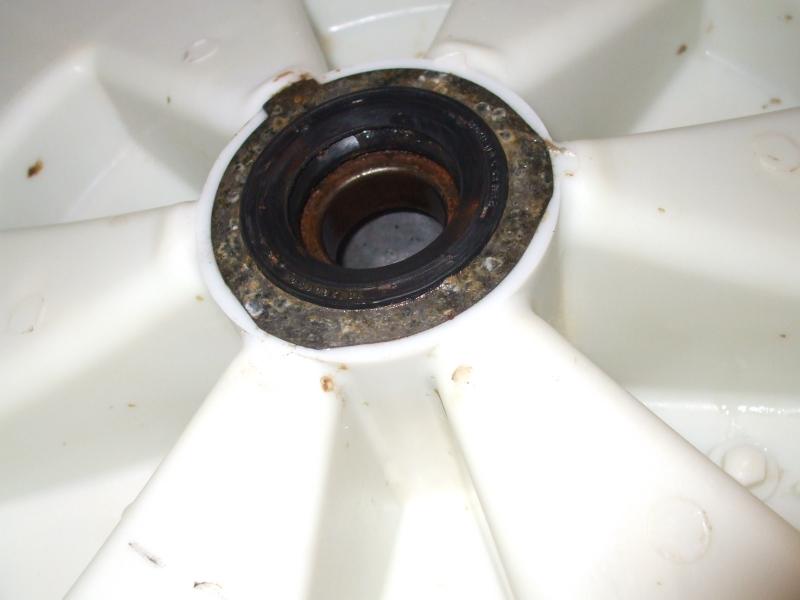 Inside rear half of drum