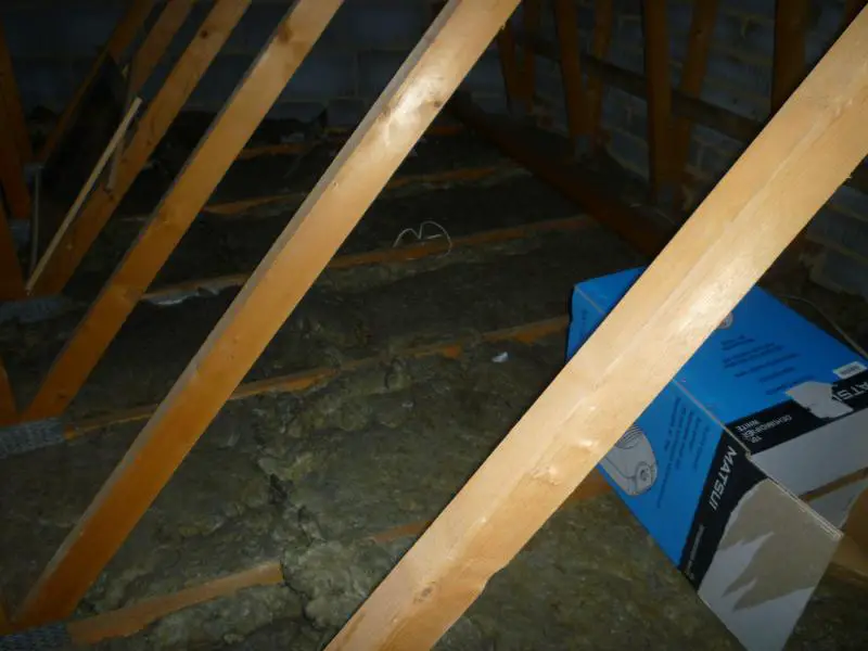 insulation in loft
