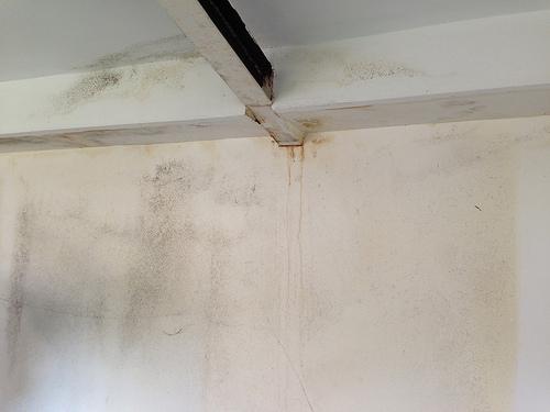 Interior Damp