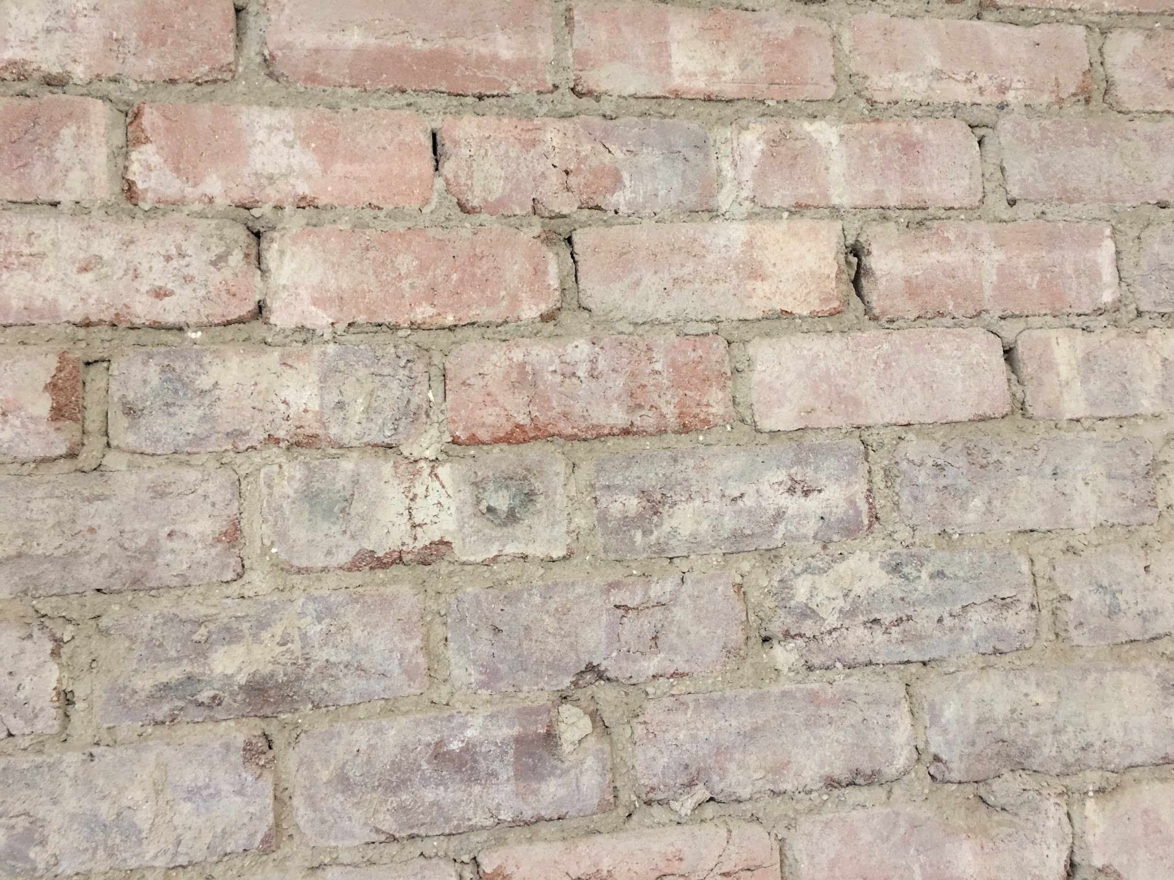 Internal brick wall 4