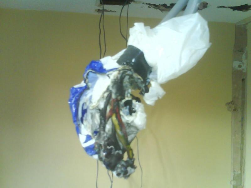 JB or Carrier bag? 2