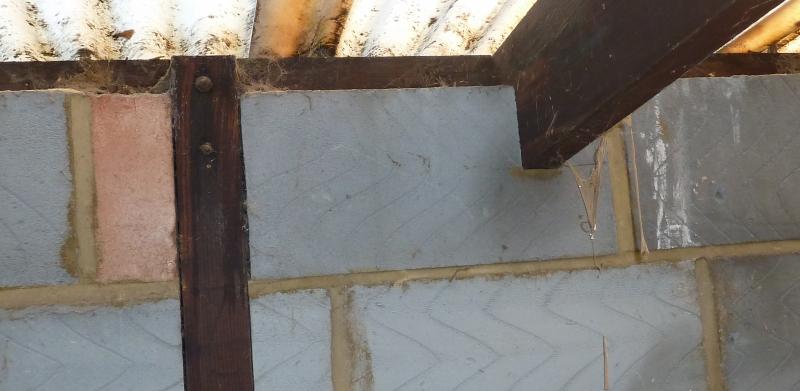 Joist, column and plate