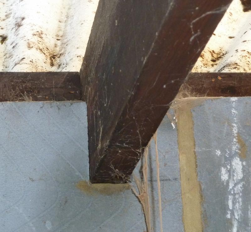 Joist to plate at long wall far