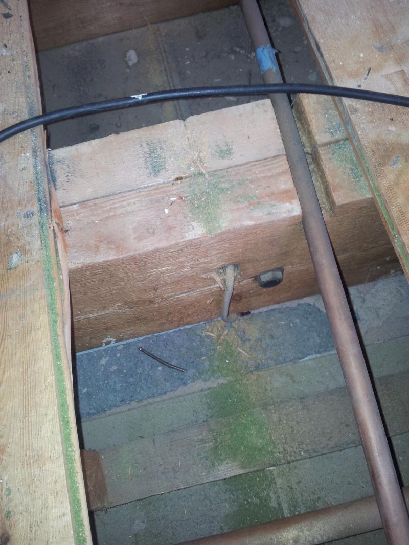 Joist upstairs wall sits on.