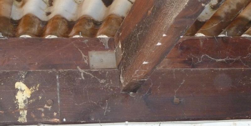 Joists at main house wall