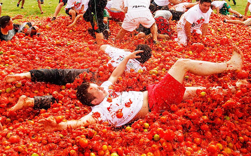 La Tomatina.jpg