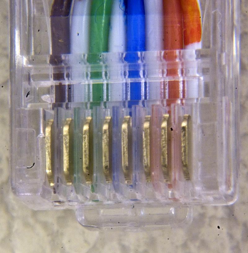 LAN plug crimped