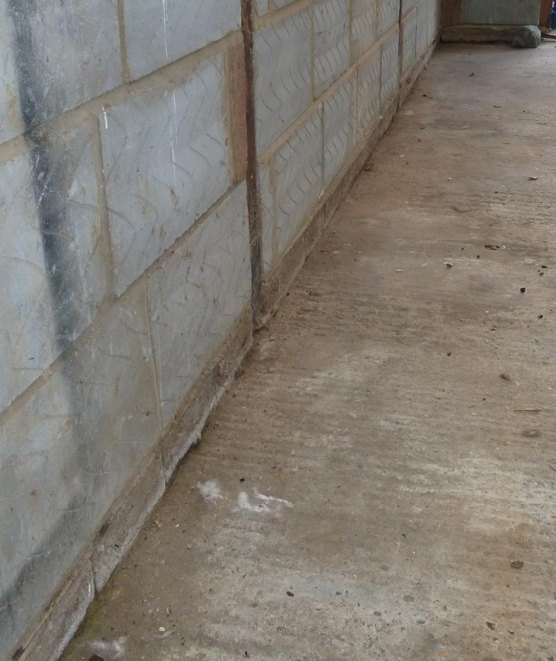 Long wall showing floor line