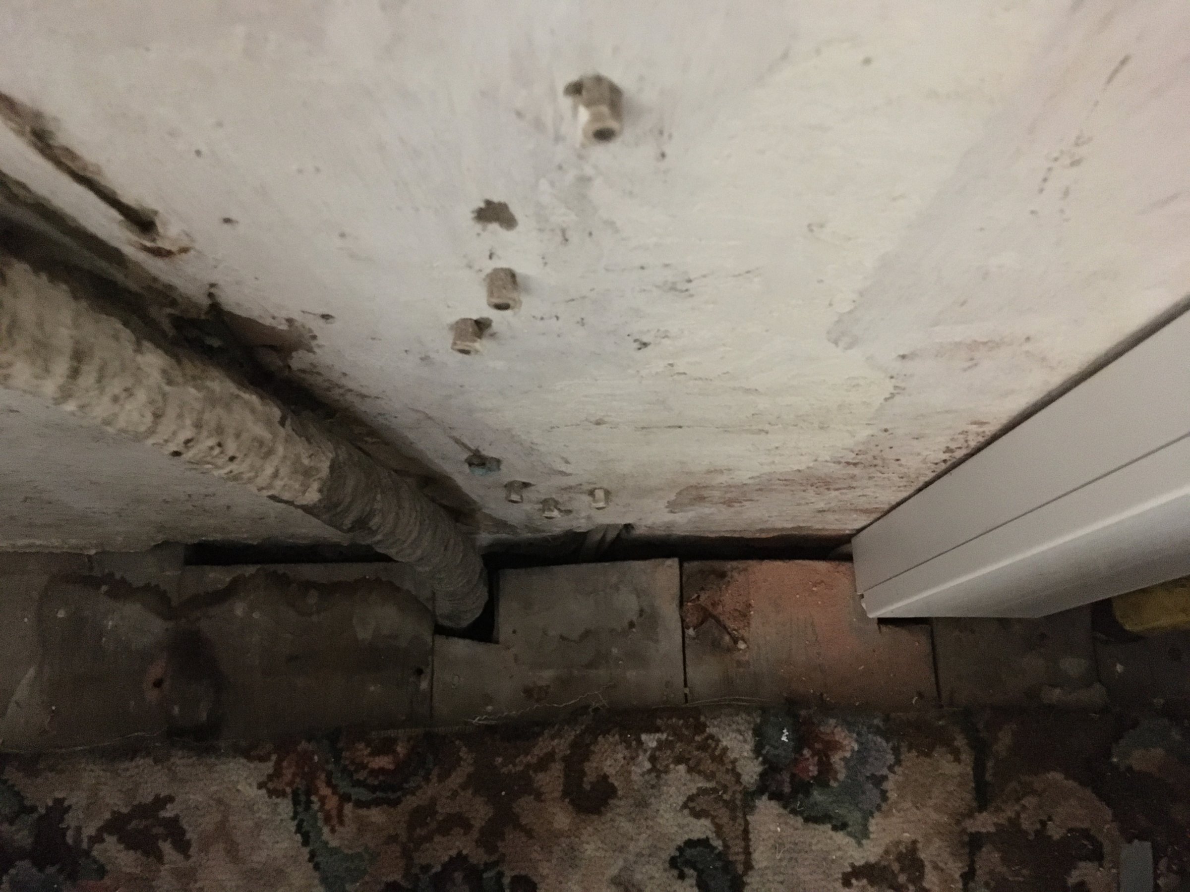 mains in / consumer unit out 2