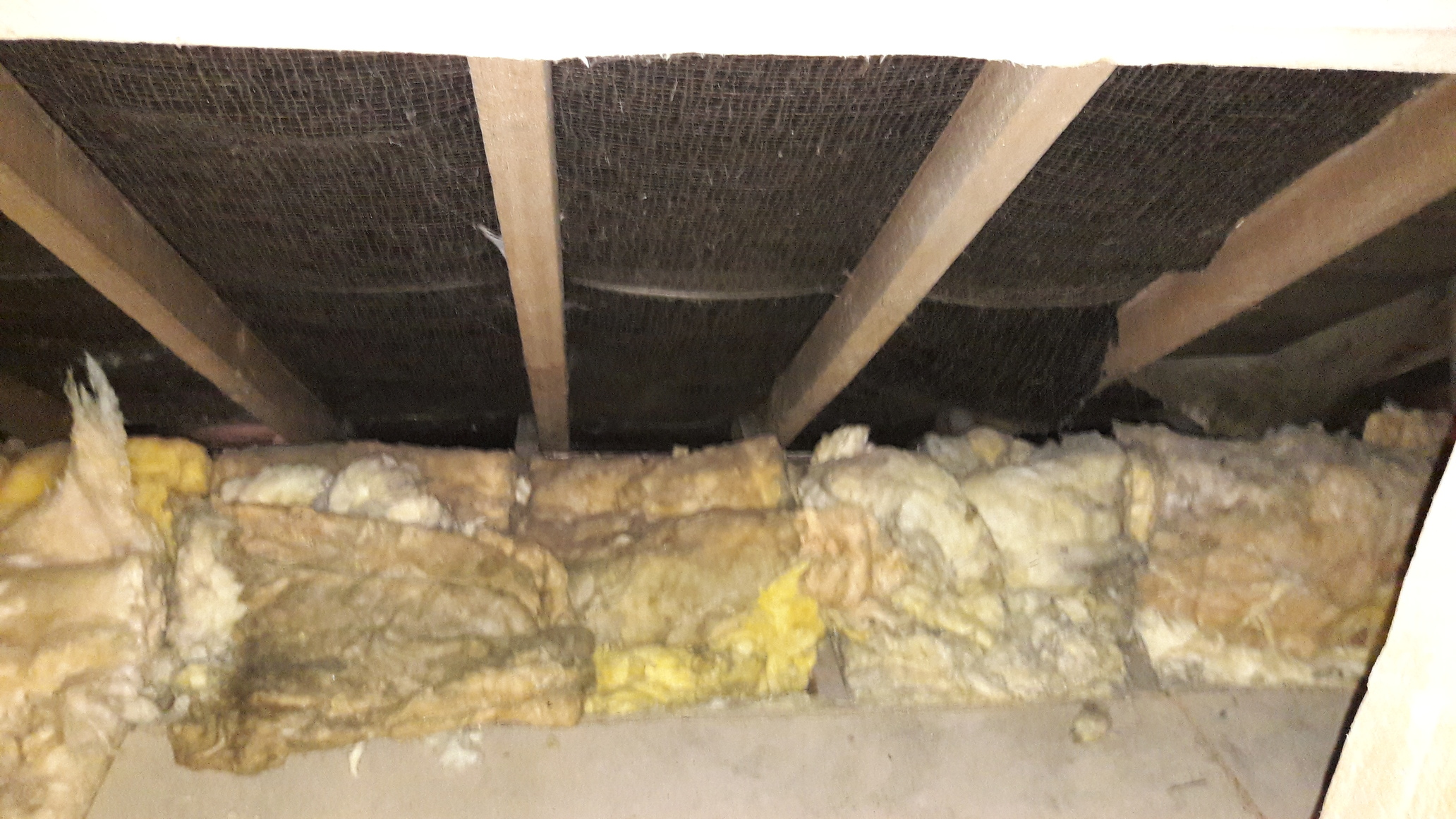 More insulation