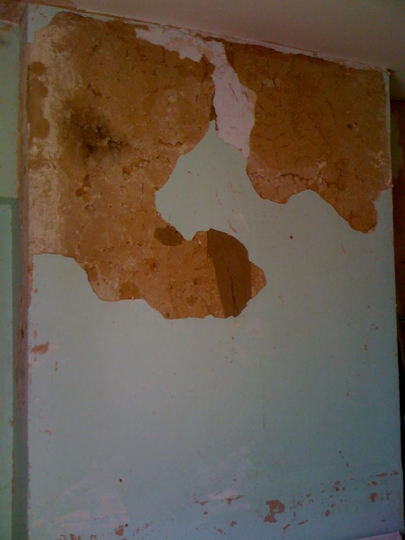 More Plaster coming away!