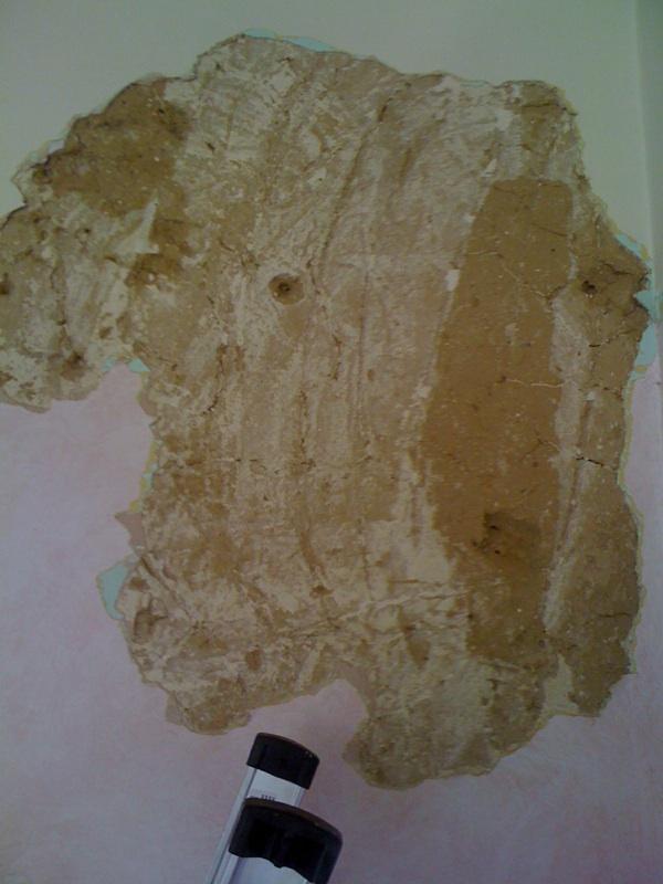 Mud and Mouse Pubes!!