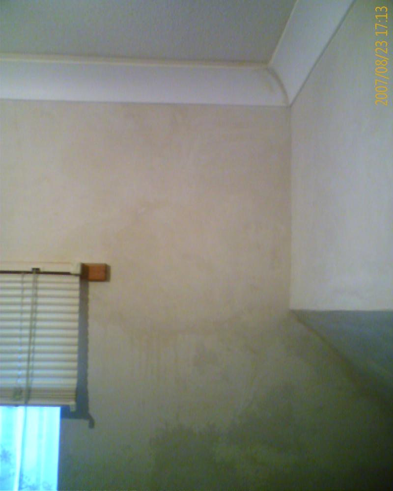 my coving