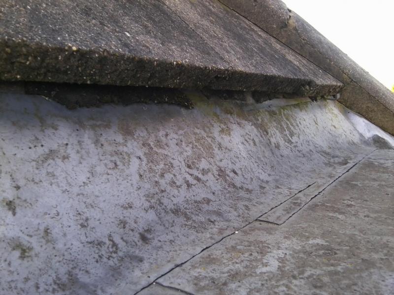 my leaking roof lead