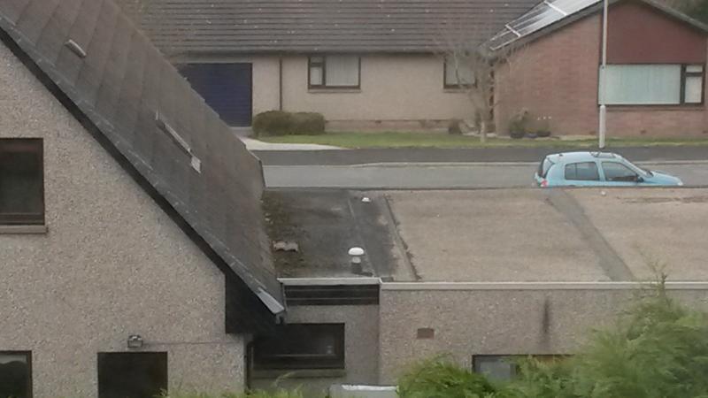 neighbours roof with filter/cover