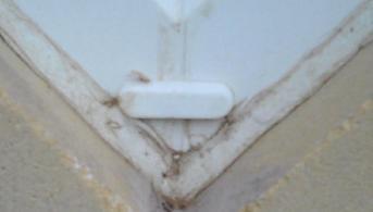 Neighbours window frame