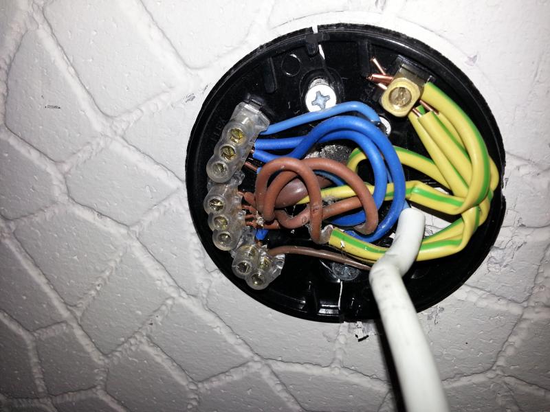 Old Ceiling rose - cracked