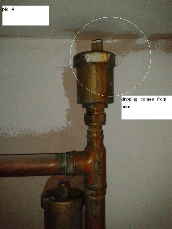 origin of dripping close up