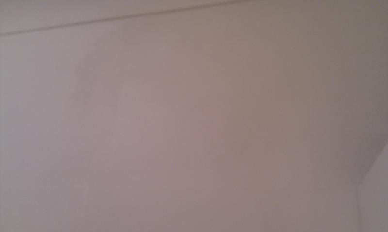 Original Damp Patches 2