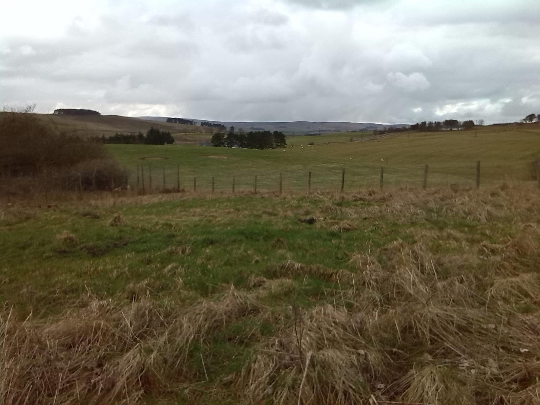 Our view to the West.