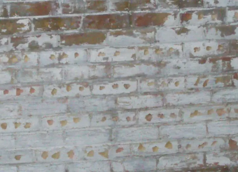 Patio back wall detail