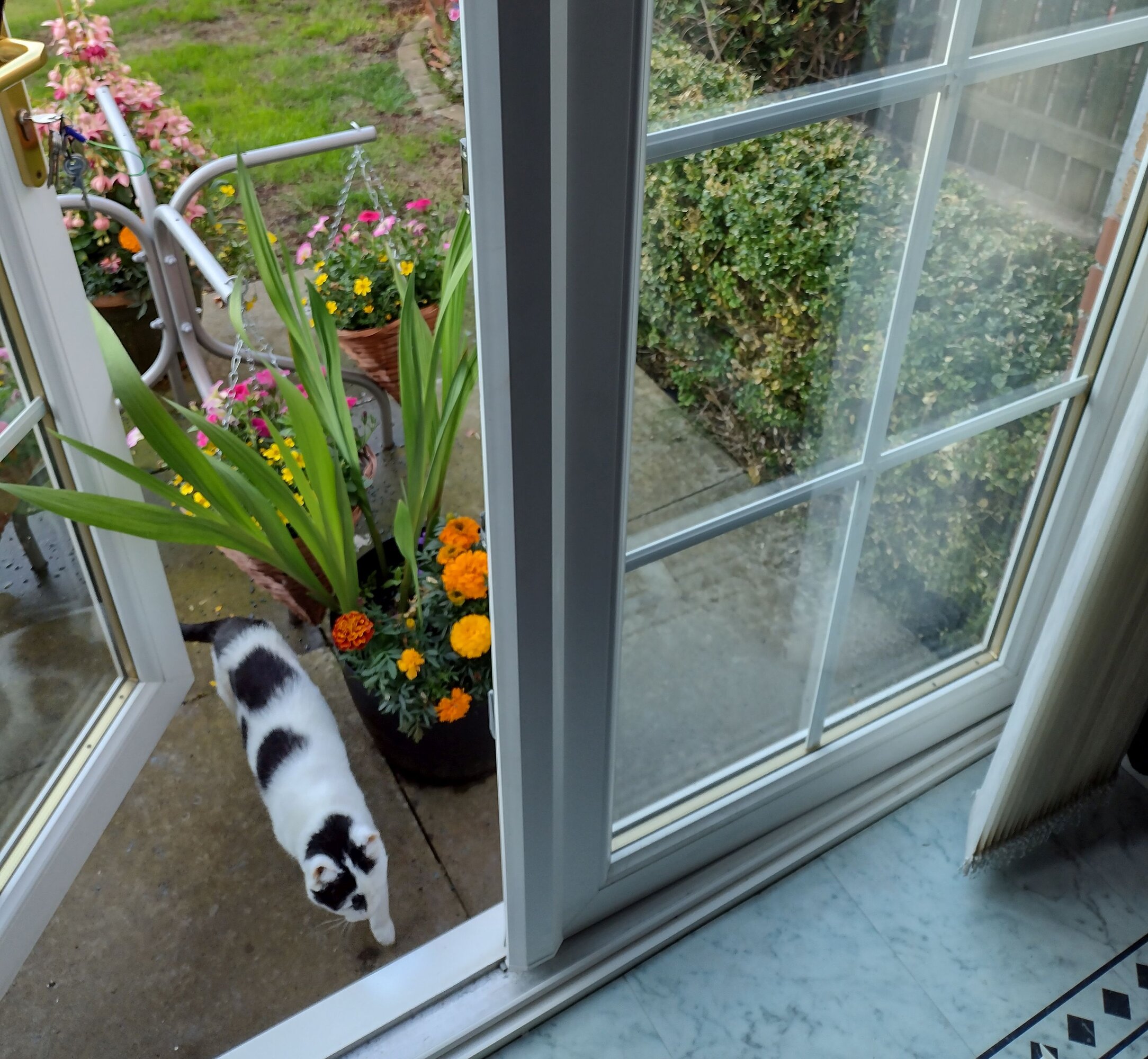 Second door of French Patio hinged door is jammed! DIYnot Forums