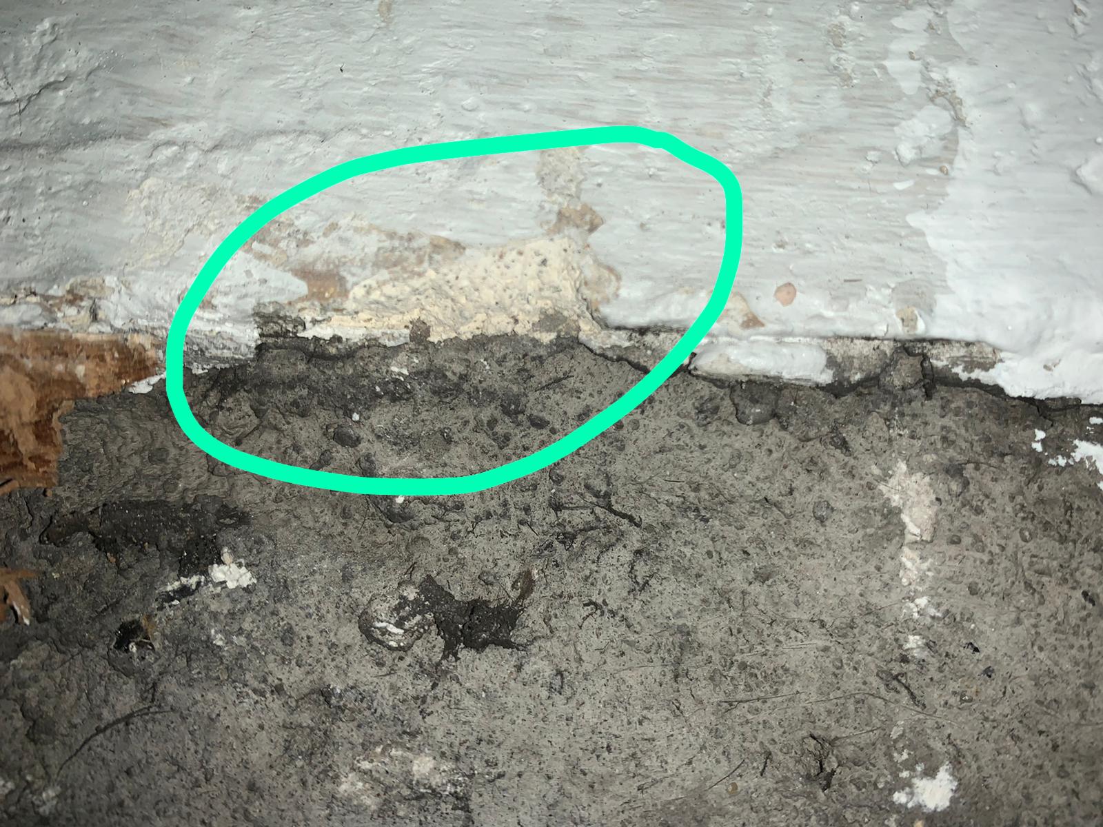 PHOTO-2020-04-02-10-55-11