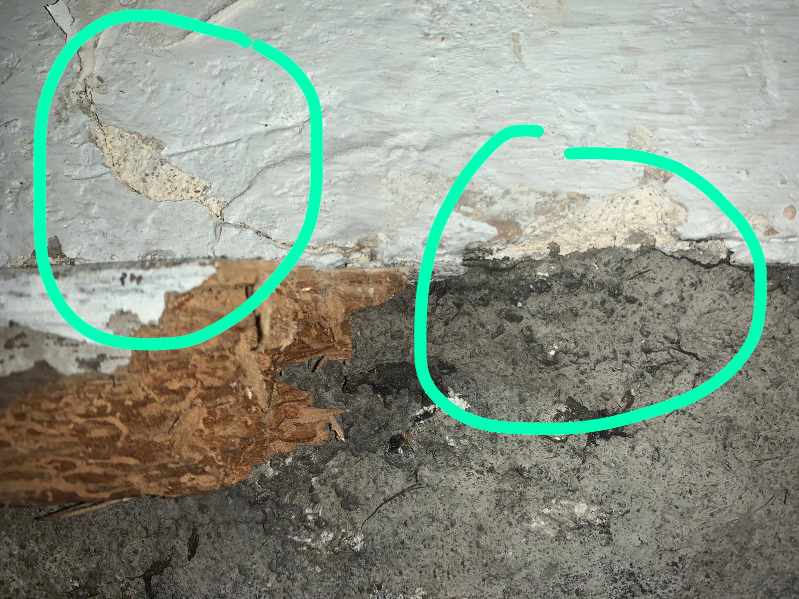 PHOTO-2020-04-02-10-56-13