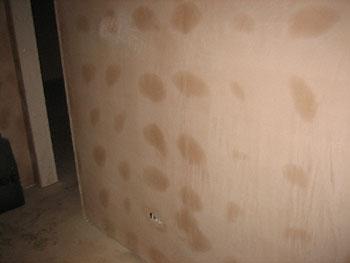 Plaster boarded walls