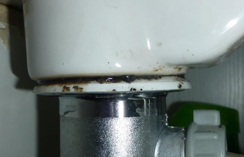 Pop-up basin waste leaking on underside