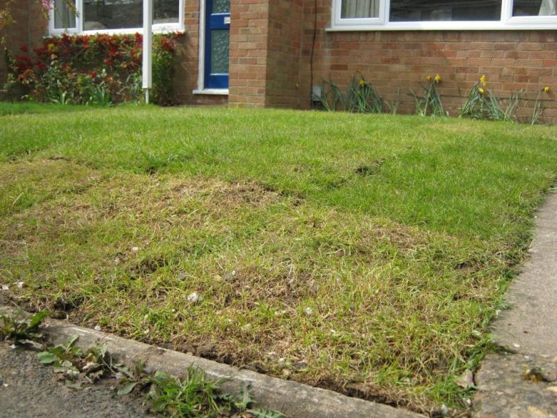 Professional Work 02