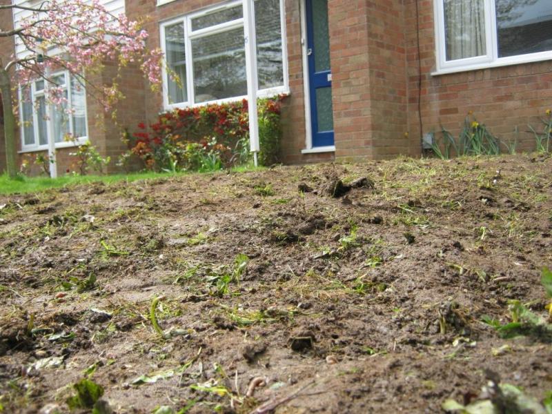 Professional Work 04