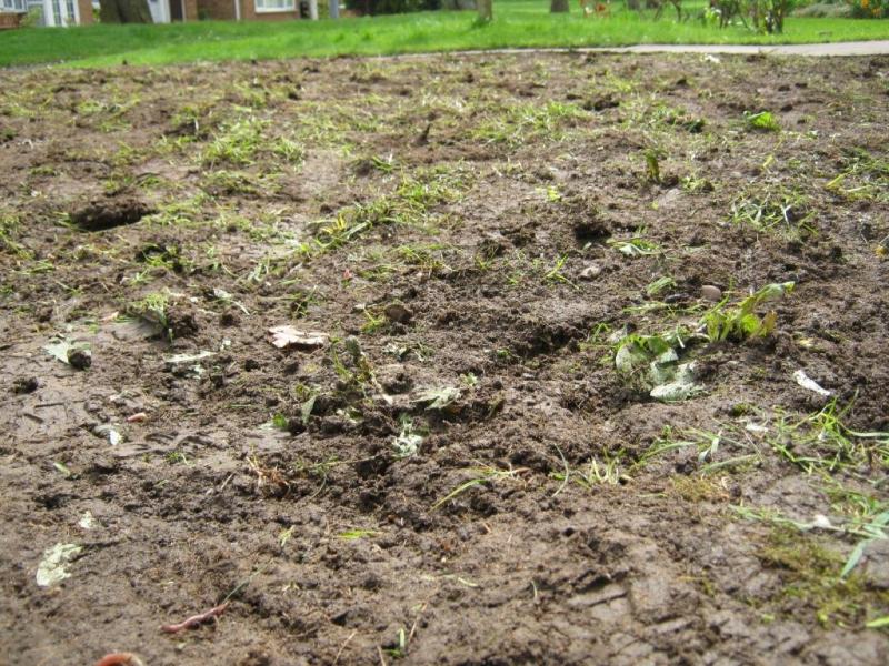 Professional Work 05