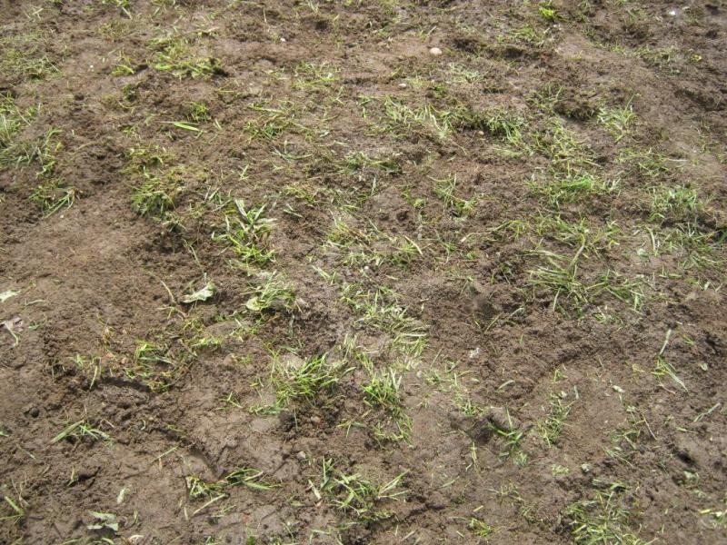 Professional Work 06