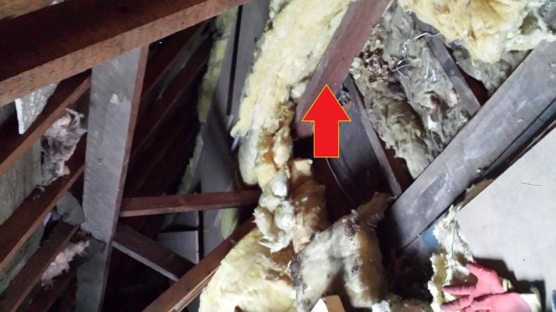 Proposed loft hatch area