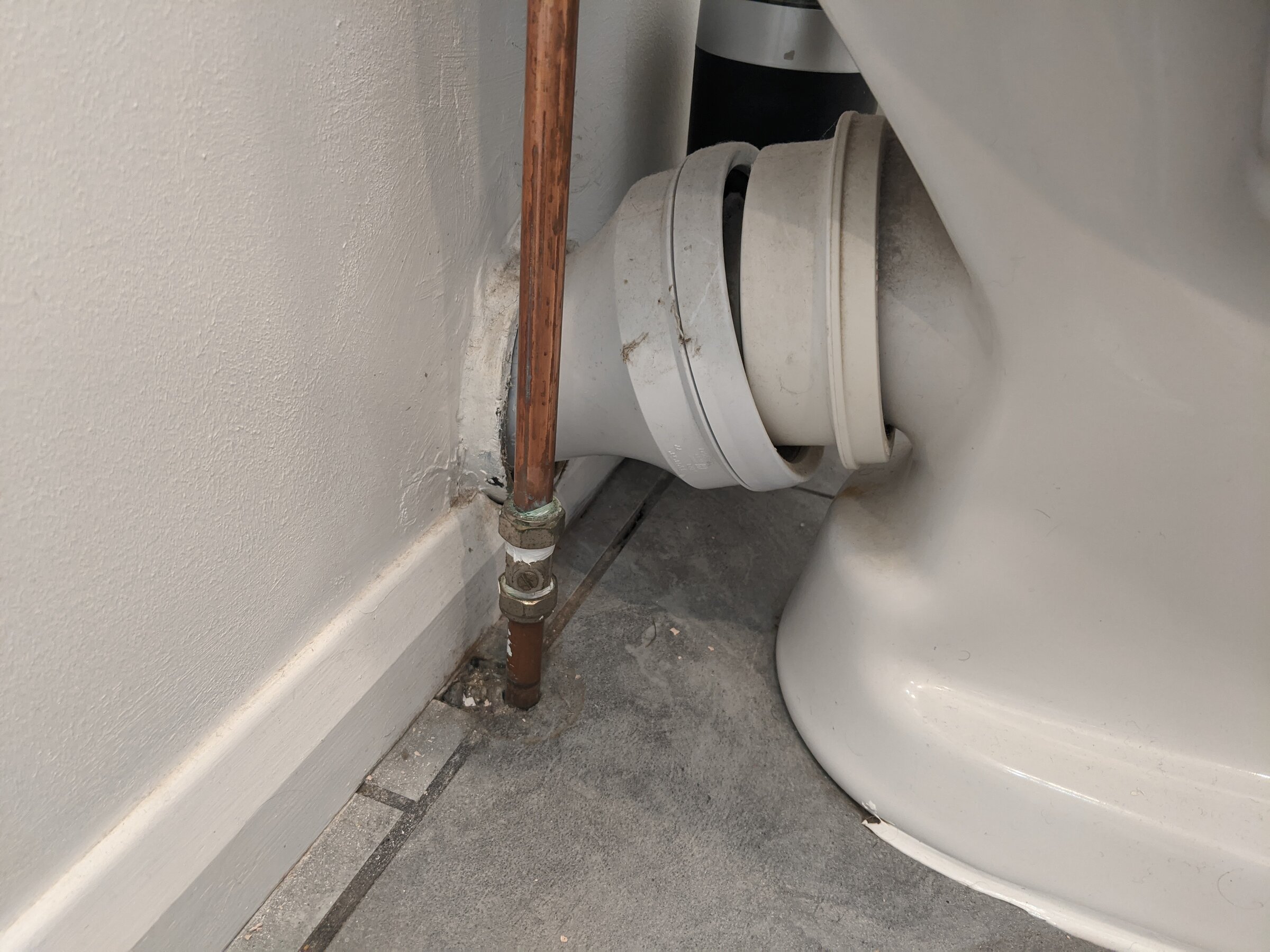 PXL_20201004_104344226 (1)