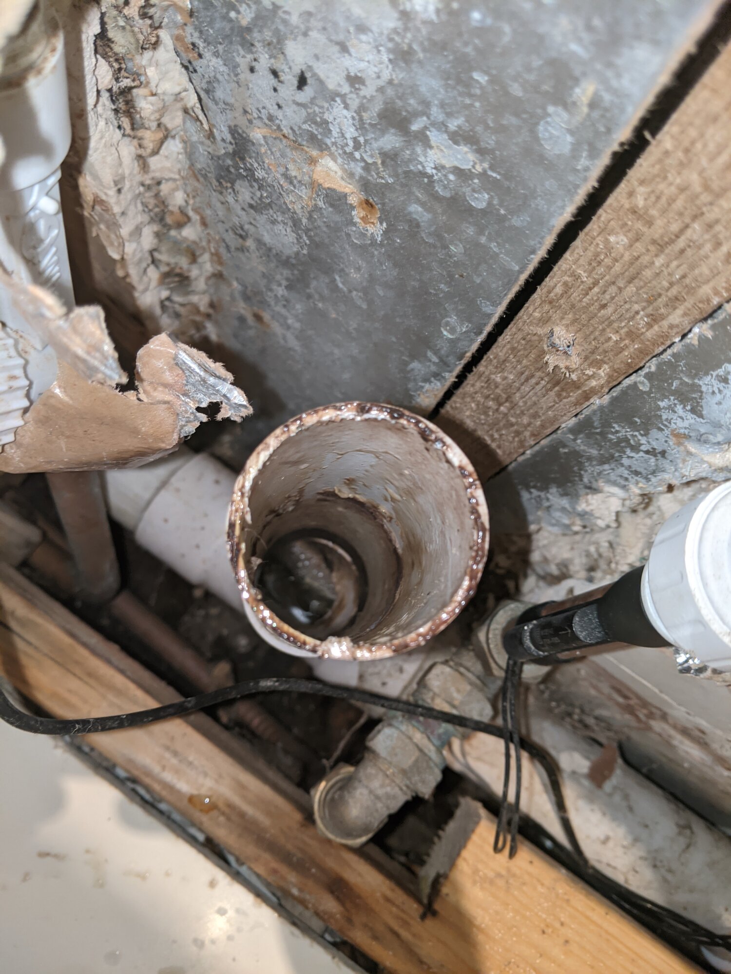 PXL_20201005_205349619