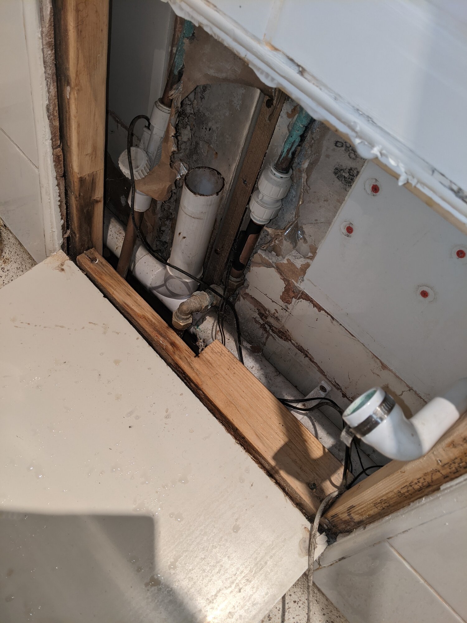 PXL_20201005_205615517