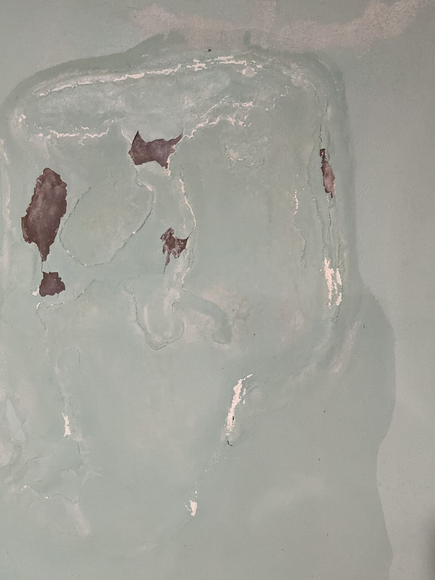 PXL_20210121_184146407