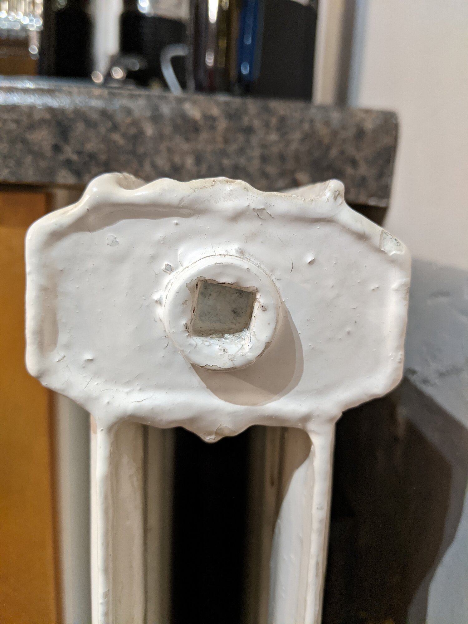 PXL_20210126_165233192