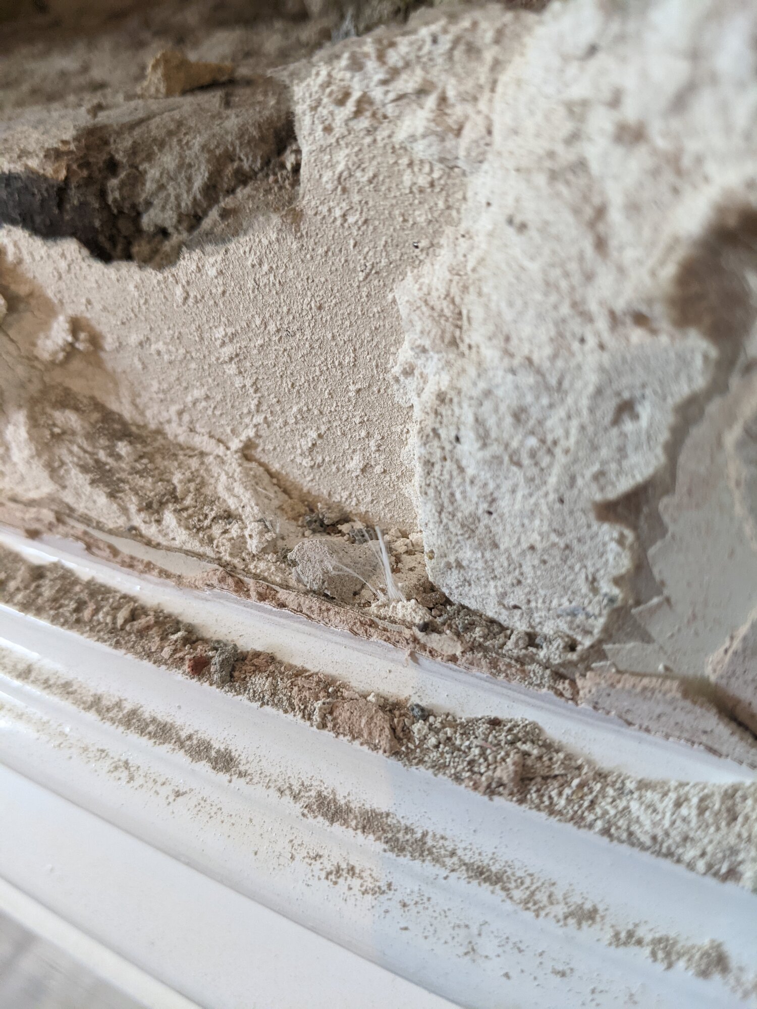 PXL_20210602_164036006