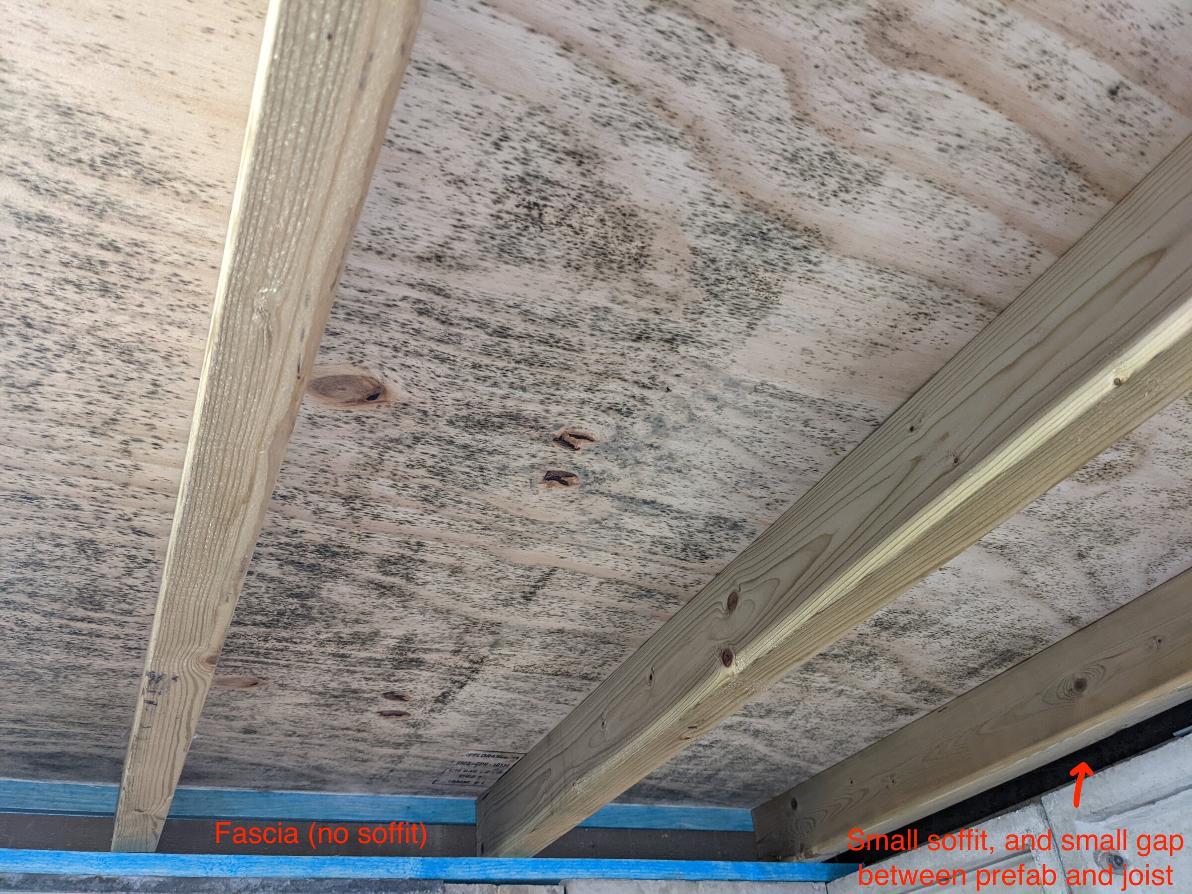 PXL_20220104_104403388