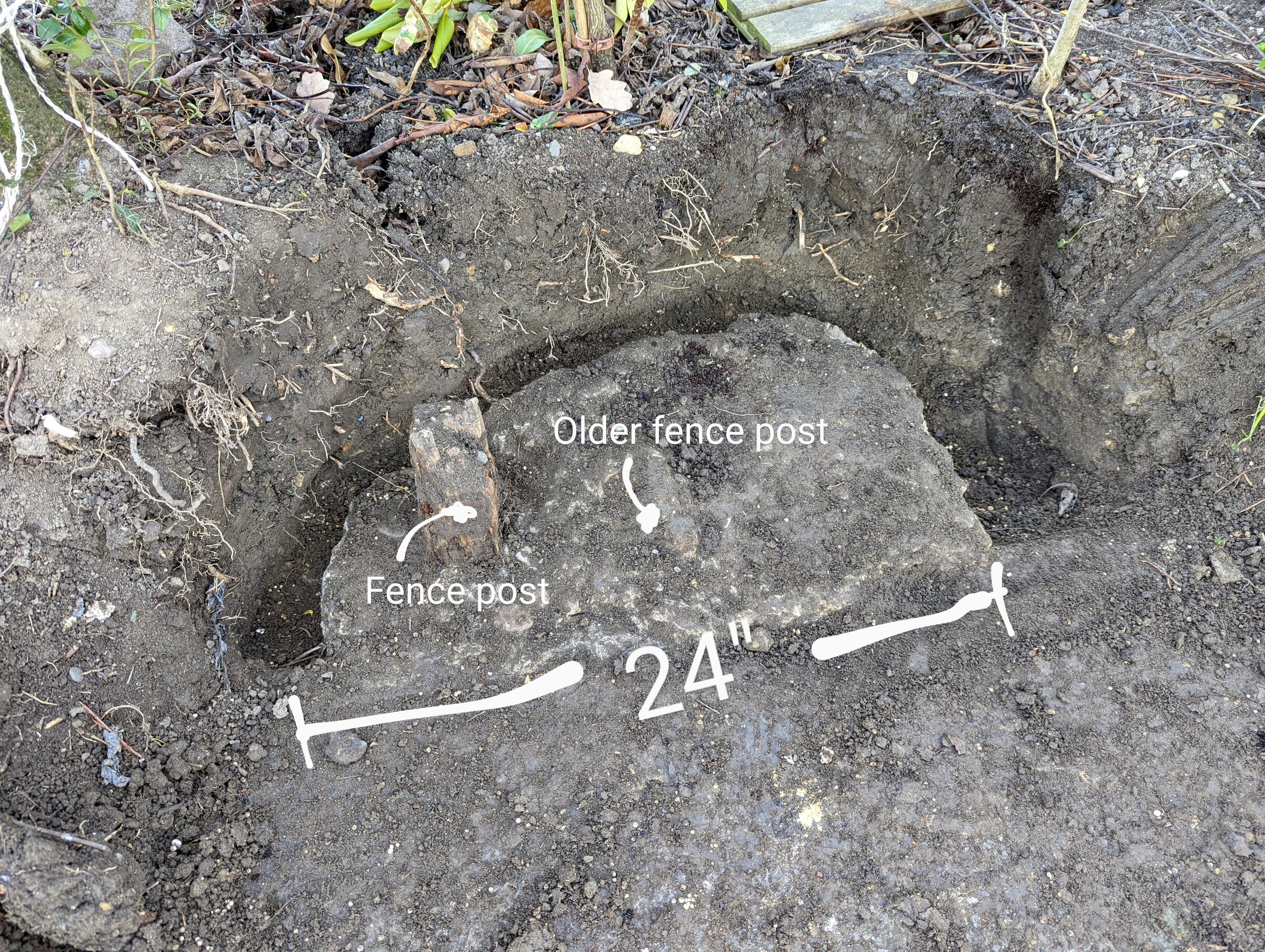 PXL_20220204_121237955~2