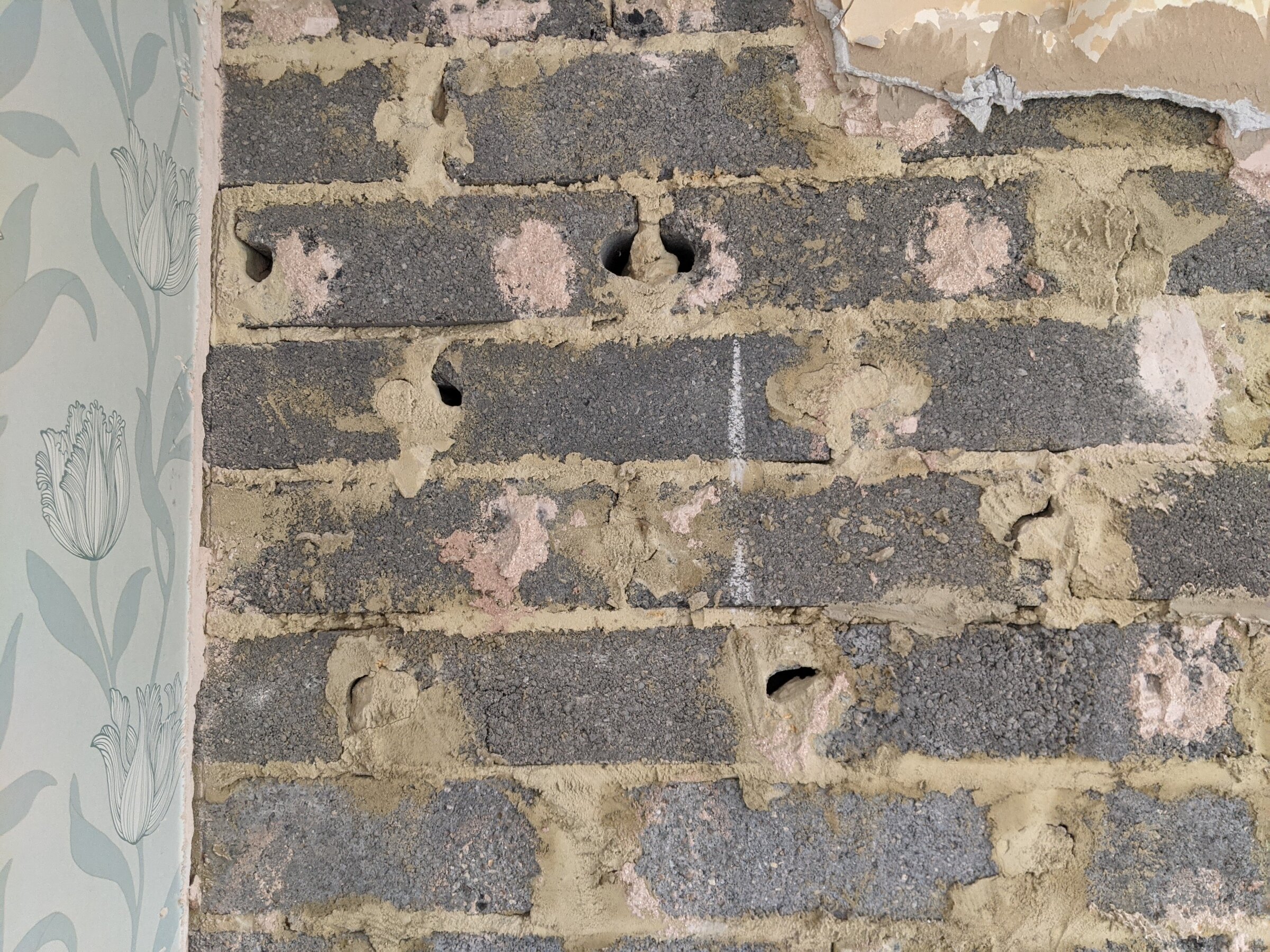 PXL_20220221_131529543