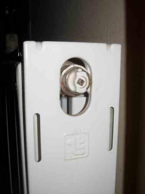 radiator bleed valve