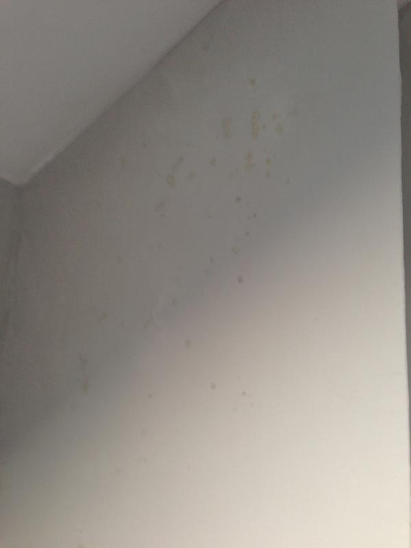 Damp Spots On Upstairs Chimney Breast Please Help